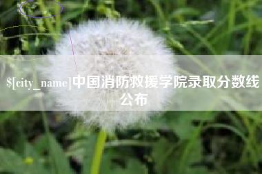 格尔木中国消防救援学院录取分数线公布