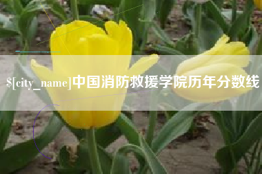 格尔木中国消防救援学院历年分数线