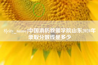 格尔木中国消防救援学院山东2020年录取分数线是多少