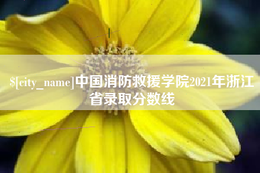 格尔木中国消防救援学院2021年浙江省录取分数线