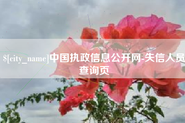 格尔木中国执政信息公开网-失信人员查询页