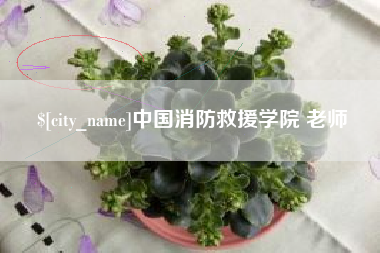 格尔木中国消防救援学院 老师