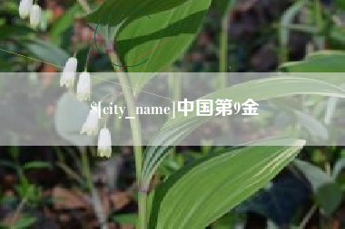 格尔木中国第9金