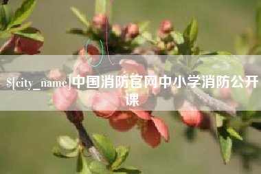格尔木中国消防官网中小学消防公开课