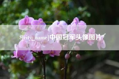 格尔木中国冠军头像图片
