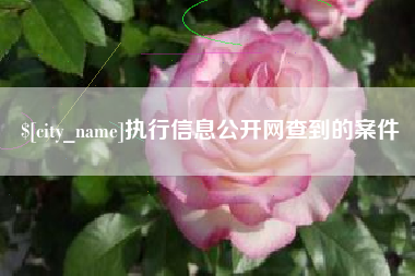 格尔木执行信息公开网查到的案件