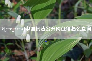 格尔木中国执法公开网征信怎么查询