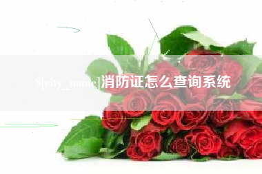 格尔木消防证怎么查询系统