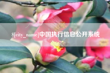 格尔木中国执行信息公开系统