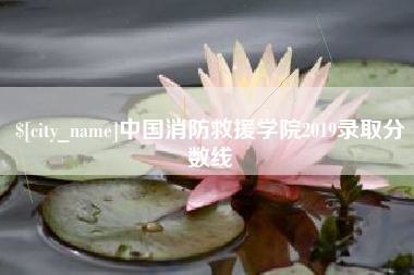 格尔木中国消防救援学院2019录取分数线
