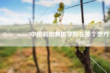 格尔木中国消防救援学院在那个地方