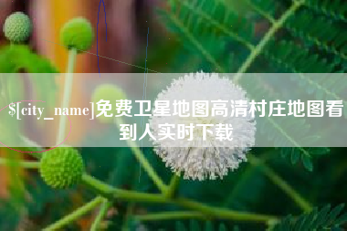 格尔木免费卫星地图高清村庄地图看到人实时下载