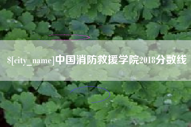 格尔木中国消防救援学院2018分数线