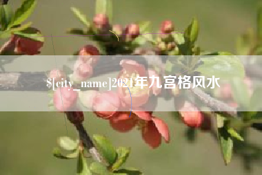 格尔木2021年九宫格风水