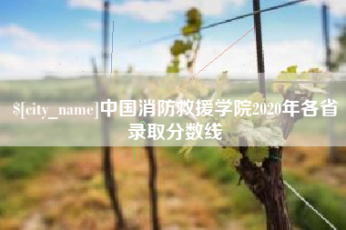 格尔木中国消防救援学院2020年各省录取分数线