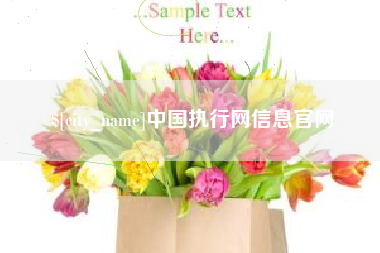 格尔木中国执行网信息官网