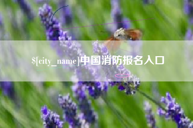 格尔木中国消防报名入口