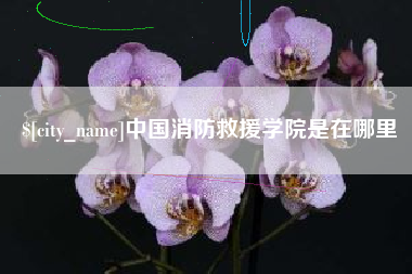 格尔木中国消防救援学院是在哪里