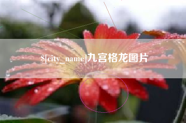 格尔木九宫格龙图片
