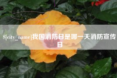 格尔木我国消防日是哪一天消防宣传日
