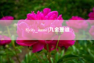 格尔木九金是谁