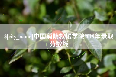 格尔木中国消防救援学院2019年录取分数线