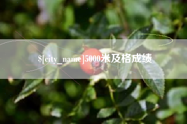 格尔木5000米及格成绩