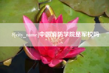 格尔木中国消防学院是军校吗