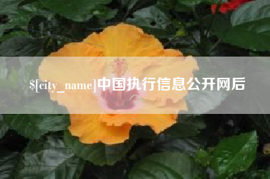 格尔木中国执行信息公开网后