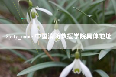 格尔木中国消防救援学院具体地址