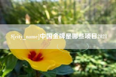 格尔木中国金牌是哪些项目2021