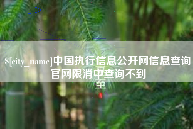 格尔木中国执行信息公开网信息查询官网限消中查询不到