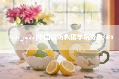 格尔木中国消防救援学院分数2020