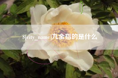 格尔木九金指的是什么