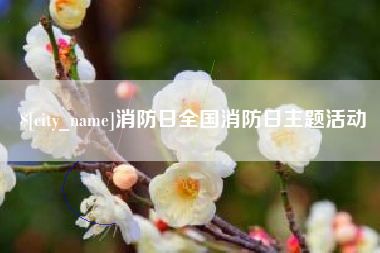 格尔木消防日全国消防日主题活动