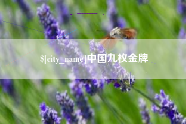 格尔木中国九枚金牌