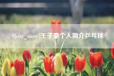 格尔木王子豪个人简介乒乓球
