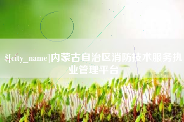 格尔木内蒙古自治区消防技术服务执业管理平台
