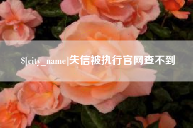 格尔木失信被执行官网查不到