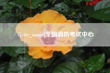 格尔木全国消防考试中心