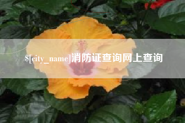 格尔木消防证查询网上查询