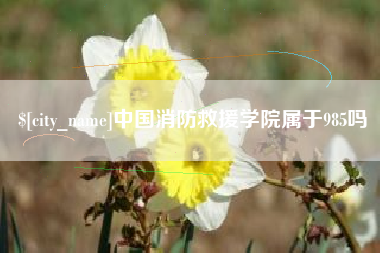 格尔木中国消防救援学院属于985吗