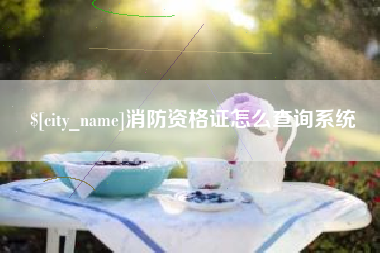 格尔木消防资格证怎么查询系统