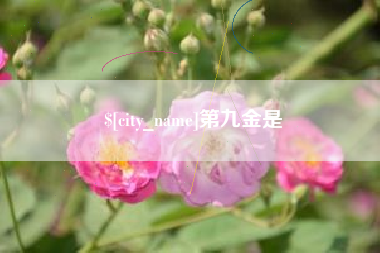 格尔木第九金是