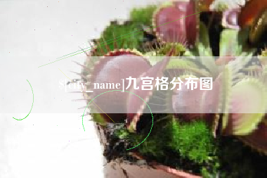 格尔木九宫格分布图
