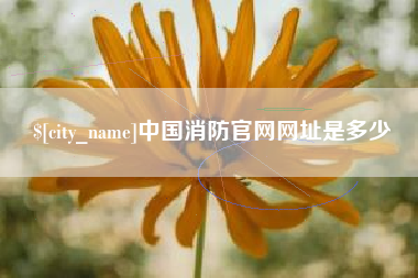 格尔木中国消防官网网址是多少
