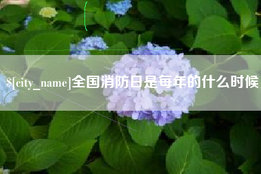 格尔木全国消防日是每年的什么时候
