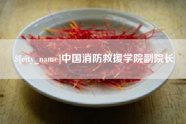 格尔木中国消防救援学院副院长