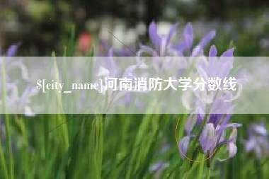 格尔木河南消防大学分数线