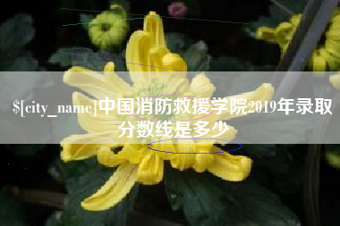 格尔木中国消防救援学院2019年录取分数线是多少